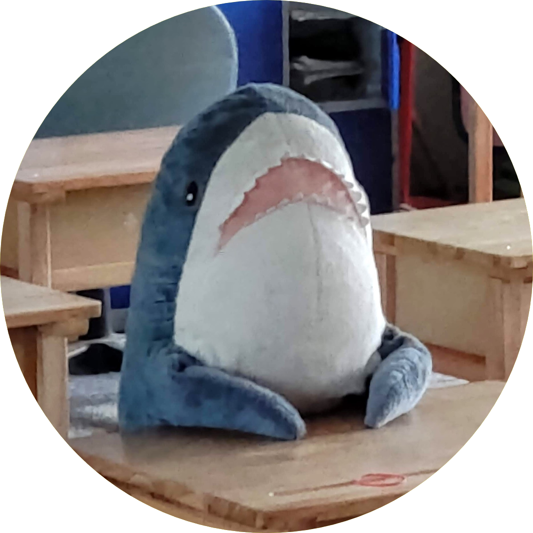 CorgiCreeperjong photo